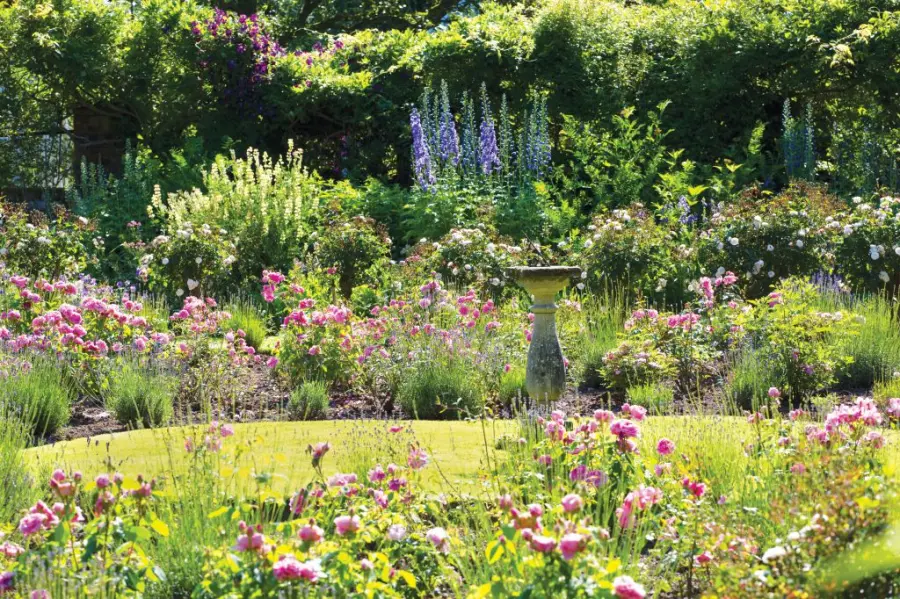 Ecco come abbellire il giardino a Novembre