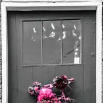 Acquistare una bicicletta per bambini online